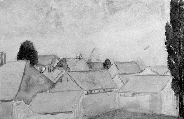 Dachy i topola Roofs and Poplar