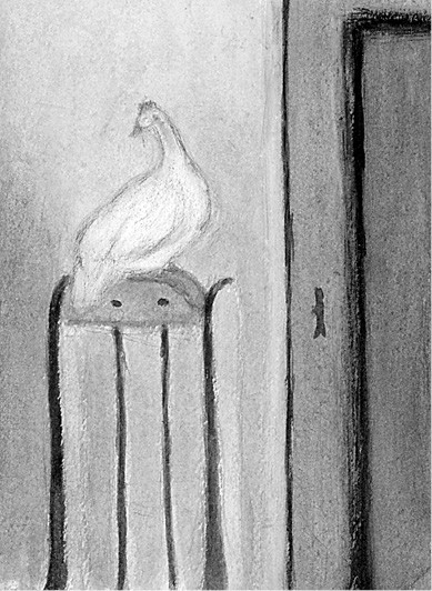 Kura na poręczy krzesła